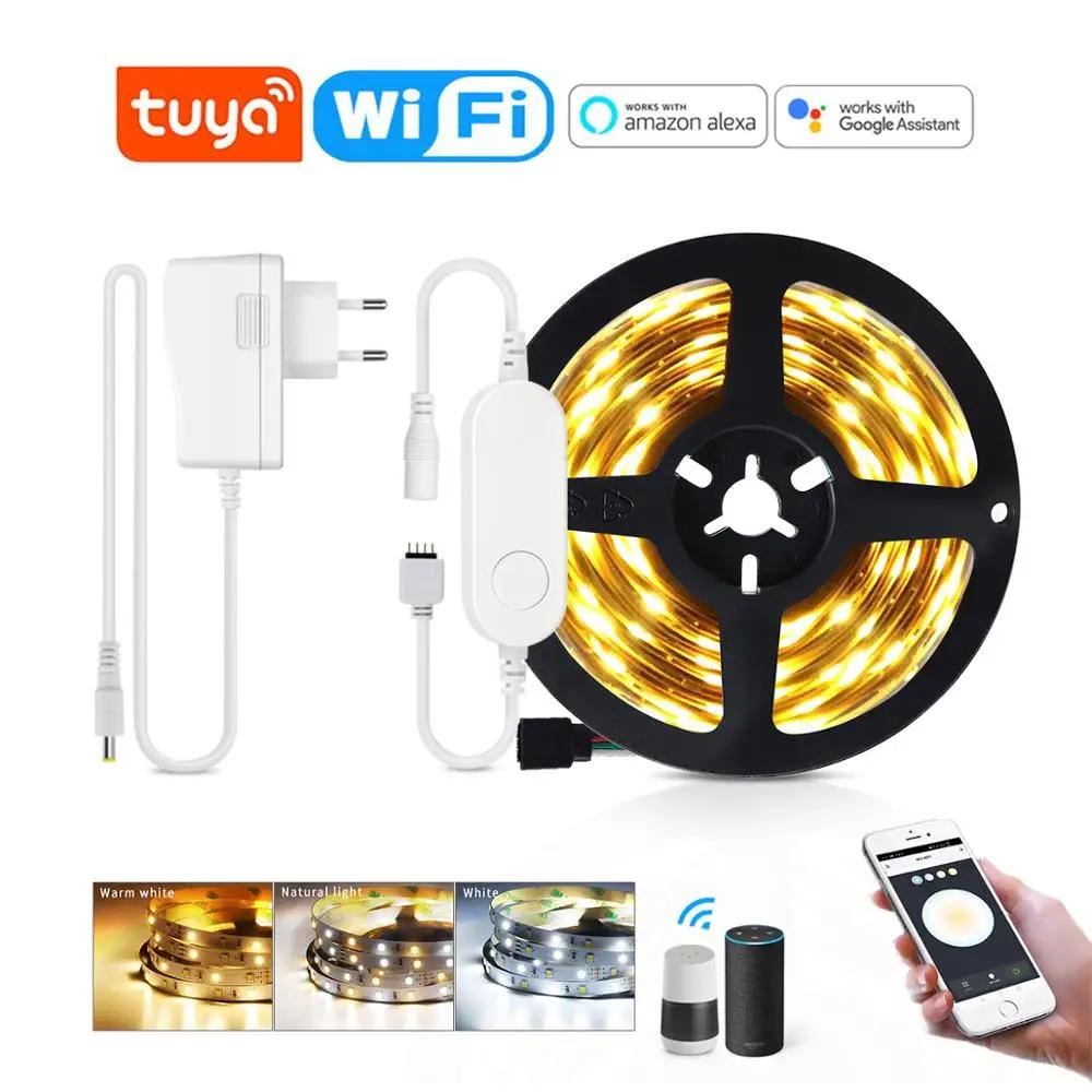 Tuya-DC12V WiFi CCT 스마트 LED 스트립, 음성 앱 제어 5M 조도 조절 백라이트 LED 램프 테이프 알렉사/에코/구글 홈 호환